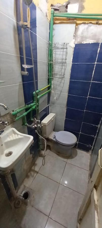 Otasho Nile View House Hotel Aswan Ngoại thất bức ảnh
