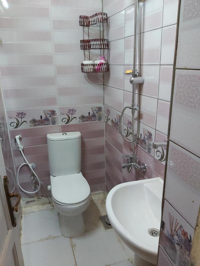 Otasho Nile View House Hotel Aswan Ngoại thất bức ảnh